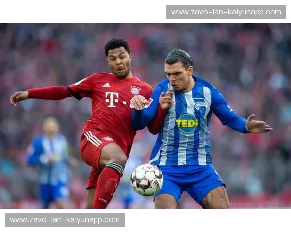 德甲大名单的魅力与商机